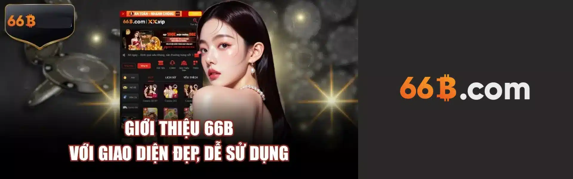 66B Banner